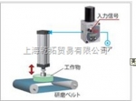 紐曼斯比例控制閥中文資料，8210G095